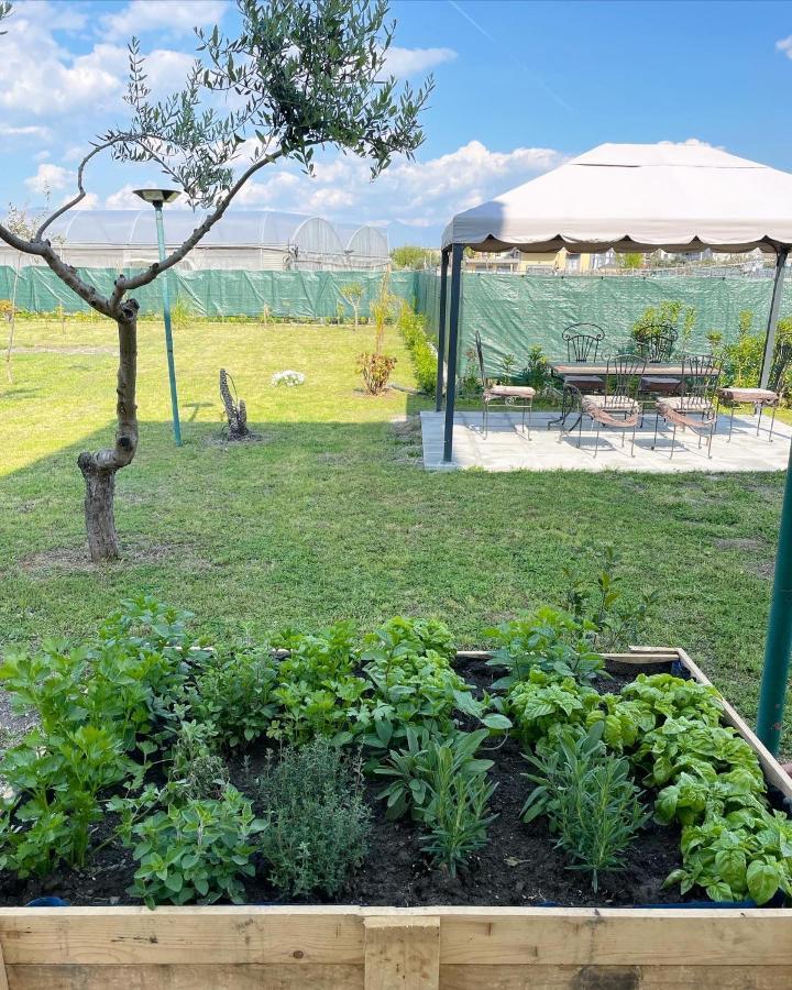 Casa Vacanze Paradise Santa Maria La Carita Екстер'єр фото