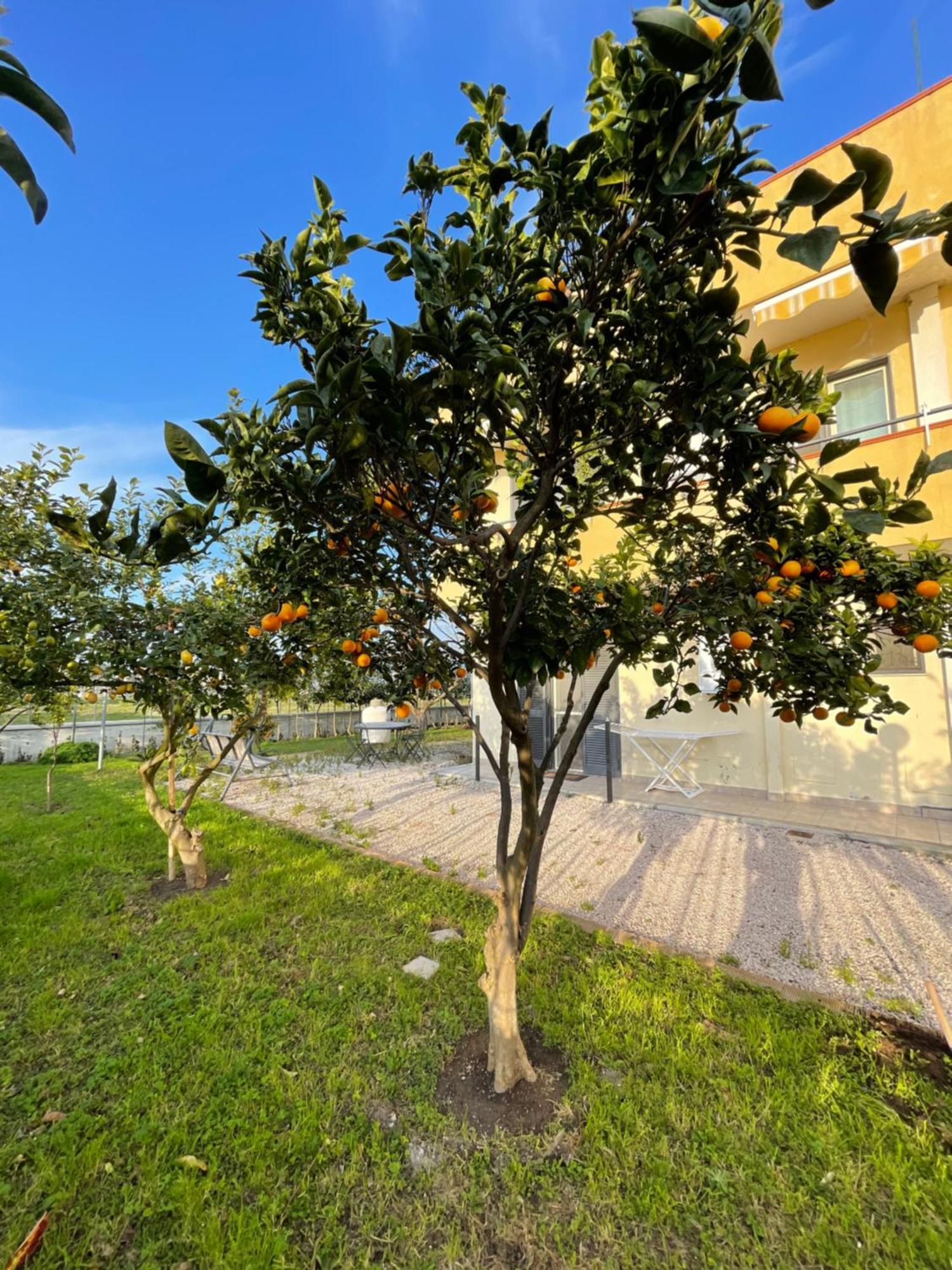 Casa Vacanze Paradise Santa Maria La Carita Екстер'єр фото