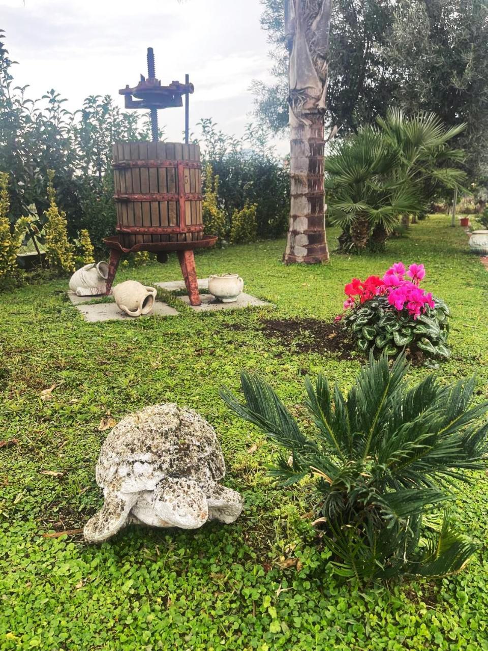 Casa Vacanze Paradise Santa Maria La Carita Екстер'єр фото