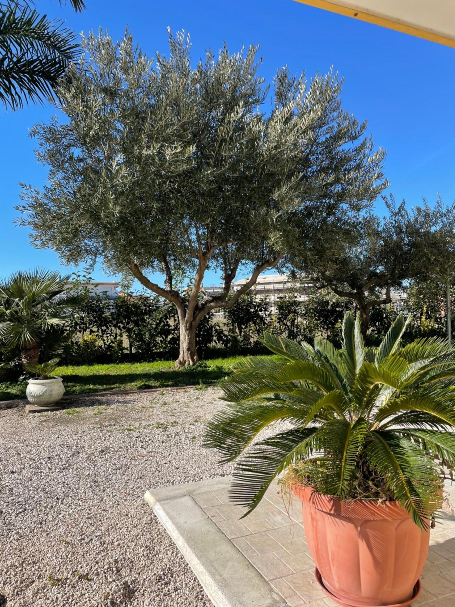 Casa Vacanze Paradise Santa Maria La Carita Екстер'єр фото
